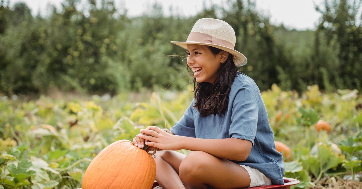 Pumpkin mousse looks grainy and slightly watery - Happy ethnic girl with big pumpkin sitting with crossed legs in garden cart near plants while looking forward on farmland