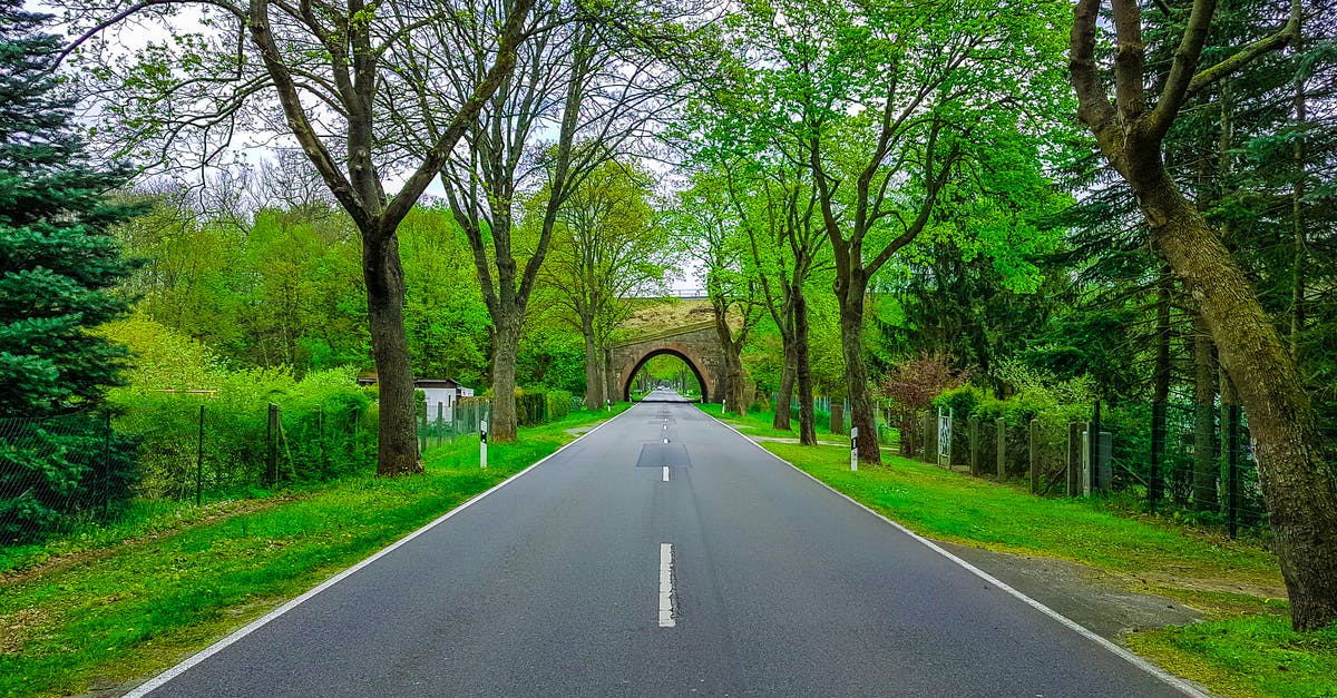 Pumpkin pie filling way too thick - Narrow asphalt roadway with marking lines and arched tunnel far away between colorful trees with thick trunks and green grass in rural zone