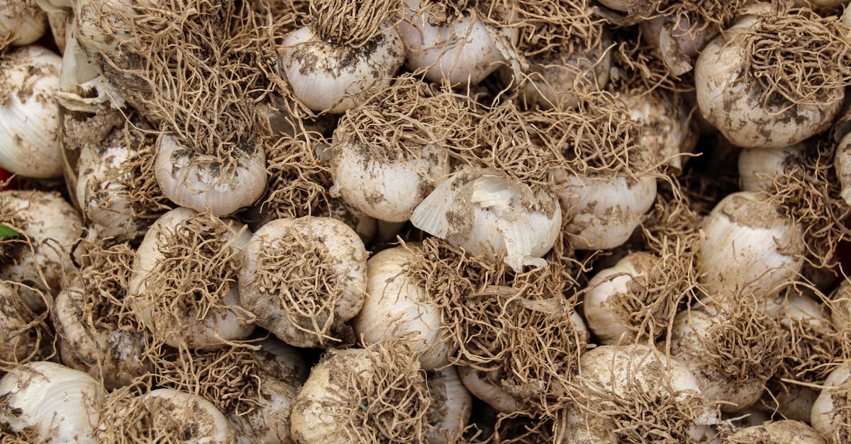 Quality of Garlic - White and Brown Round Fruits