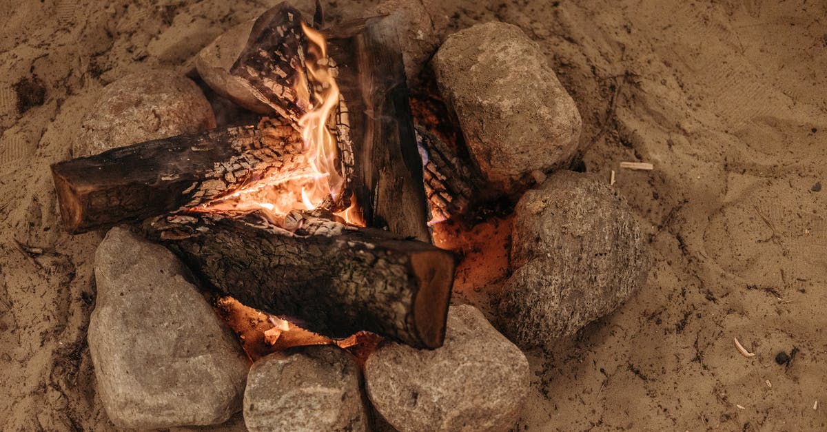 query on how to prevent burning of dum - A Burning Woods Near the Rocks on the Sand