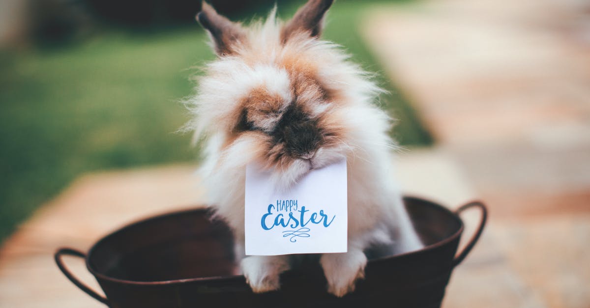 Rabbit that looks and tastes like chicken? - Hare on Basket With Happy Easter Card on Mouth