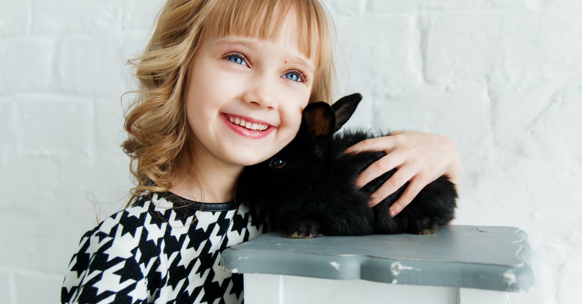 Rabbit that looks and tastes like chicken? - Girl Holding Black Rabbit