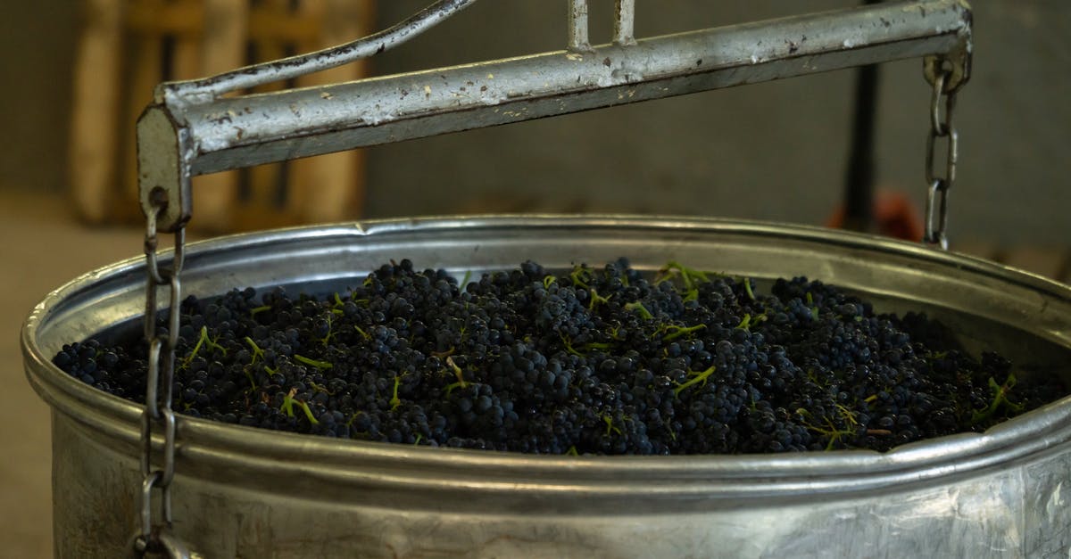 Raw liver keeping time in alcohol - Metal bowl with fresh bunches of grapes for making delicious wine in winery