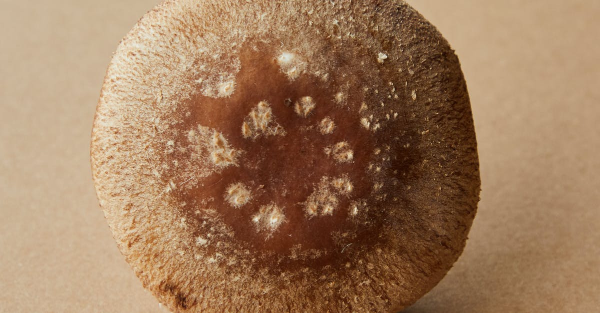 Recipe generator for randomized meal planning [closed] - Closeup of brown soft cap of fresh uncooked edible mushroom on brown background