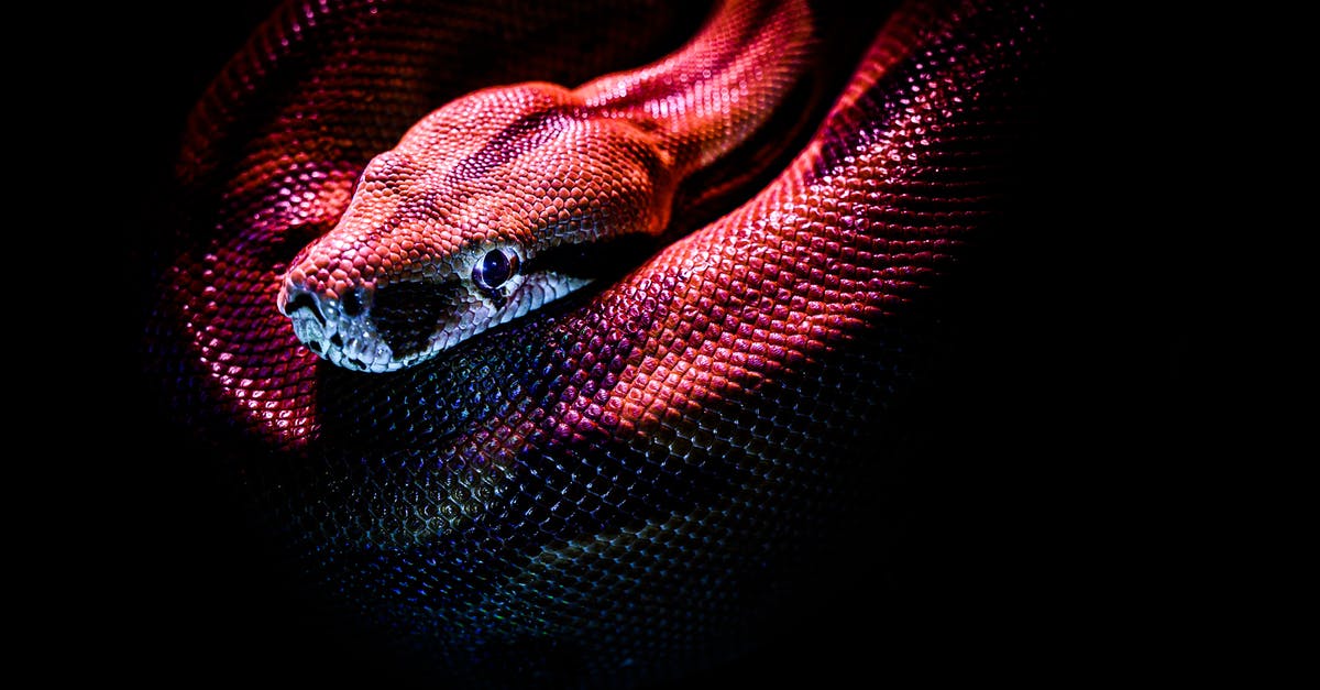 Red Copper Cookware - Photo Of A Red Snake