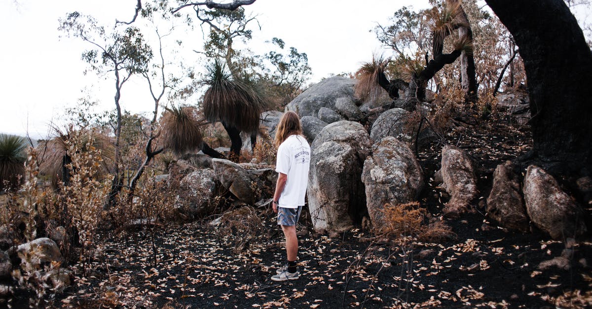 replace ground almonds with flour? - 2 Women Standing Near Brown Bare Trees