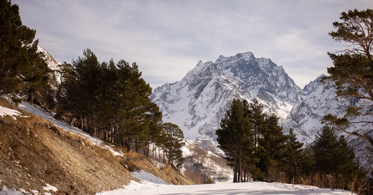 Replacement for ground almonds in a joconde sponge - Snow Covered Mountain