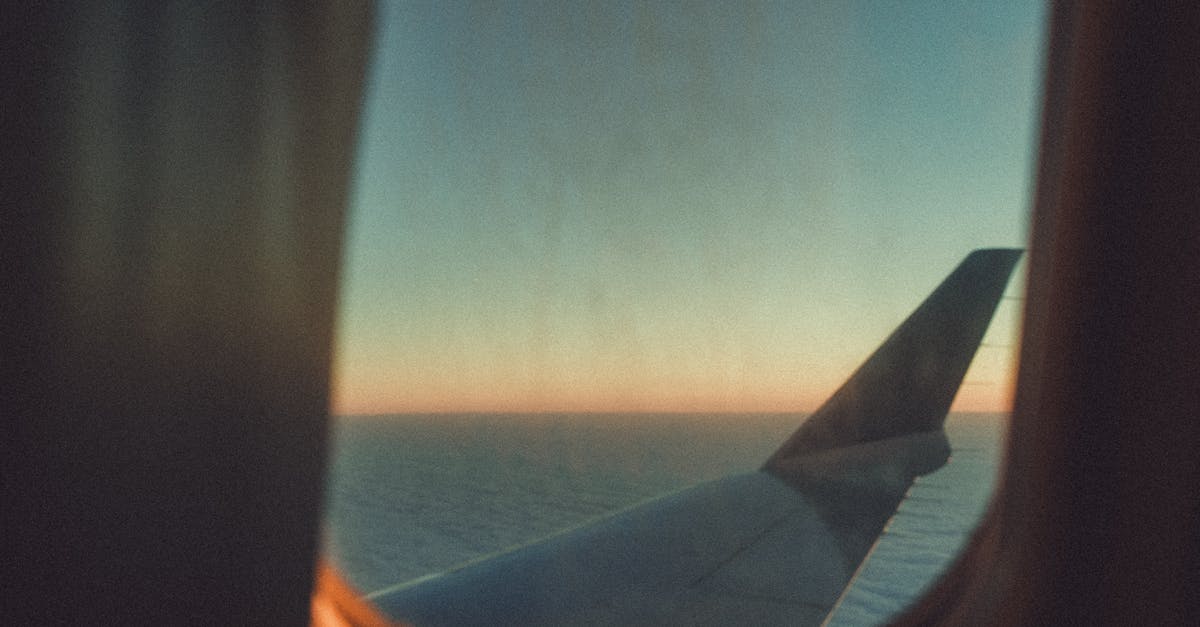 Risotto too grainy - White Plane Wing during Golden Hour