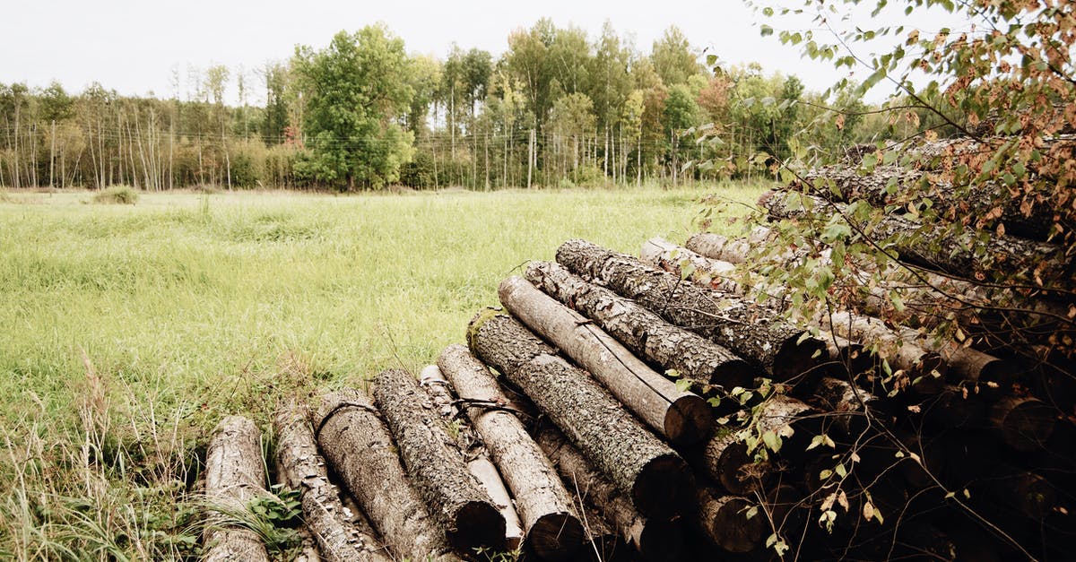 Sardines without the nasty breath? - Timber logs stacked up in pile on grassy field against colorful trees and cloudy sky on autumn nasty day in countryside