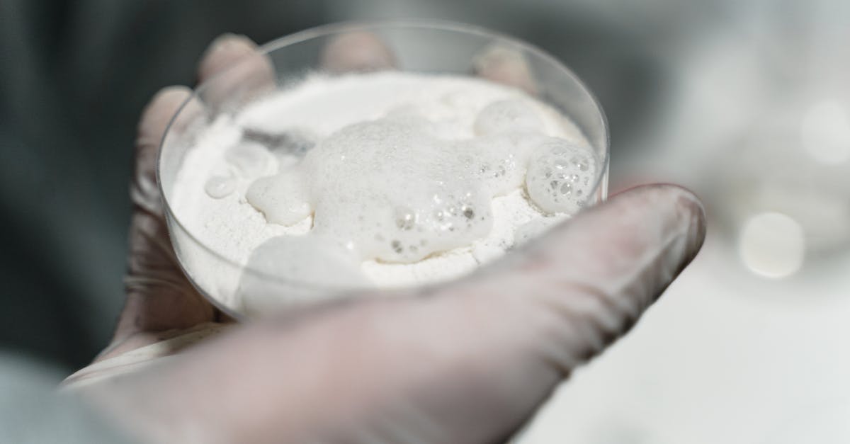 Scientific method to microwave octopus - A Person Holding a Specimen Glass with Powder