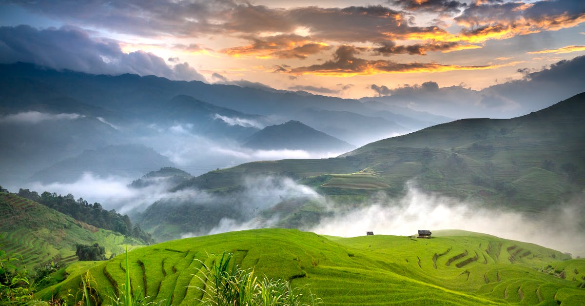 Season rice in Zojirushi - Breathtaking view of green rice plantations growing on hills with white fog near hut at sunrise under cloudy sky