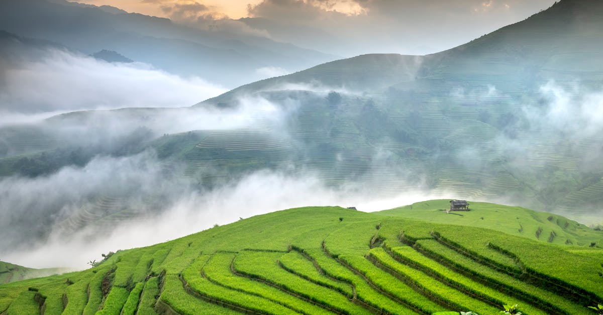 Season rice in Zojirushi - Green rice fields on misty mountains