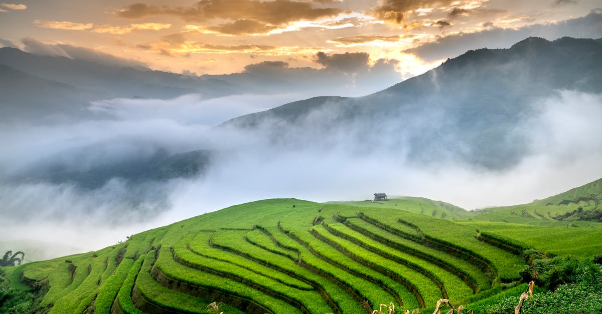 Season rice in Zojirushi - Green rice fields on mountains near mist