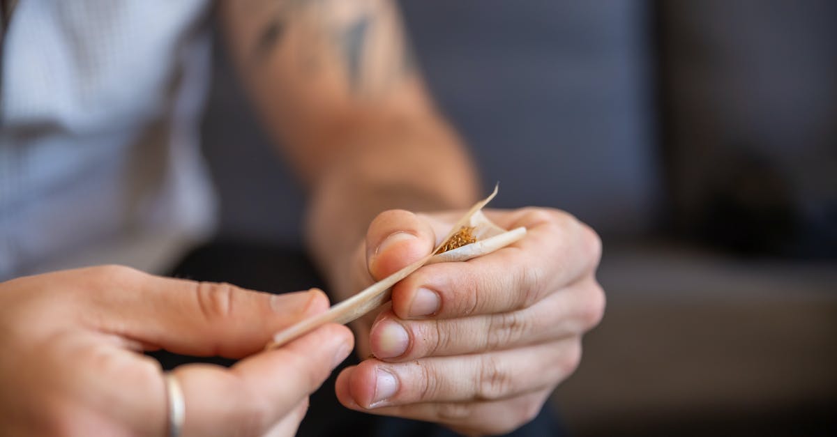 Shaping baguettes using three folds vs. rolling it up? - A Person Rolling a Joint