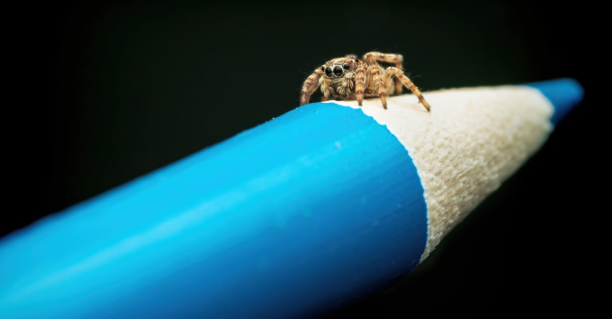 Sharpen a blue cheese dressing? - Brown spider on blue pencil