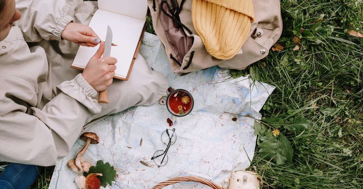 Sharpening a knife - Person Holding White Box Near Brown Leather Bag and White Ceramic Mug on Green Grass