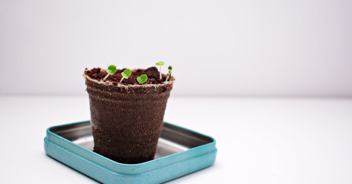 Shortening substitute that can prevent gluten growth? - Green Potted Plant