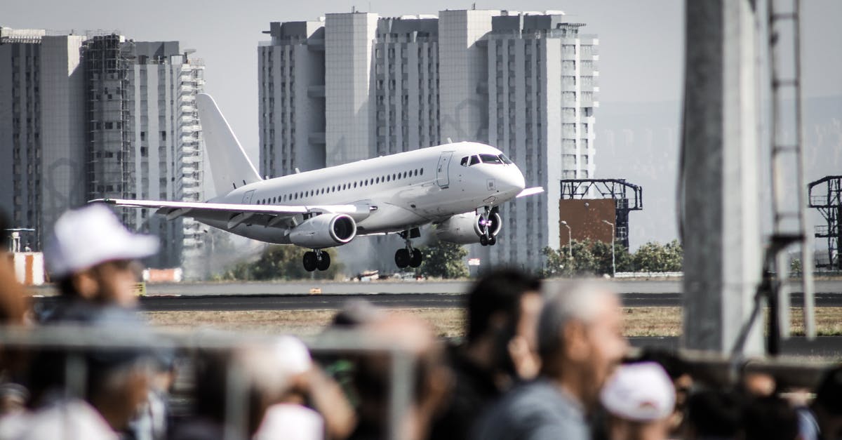 Should an Aviation include Crème de Violette? - People Walking on the Street Near White Airplane