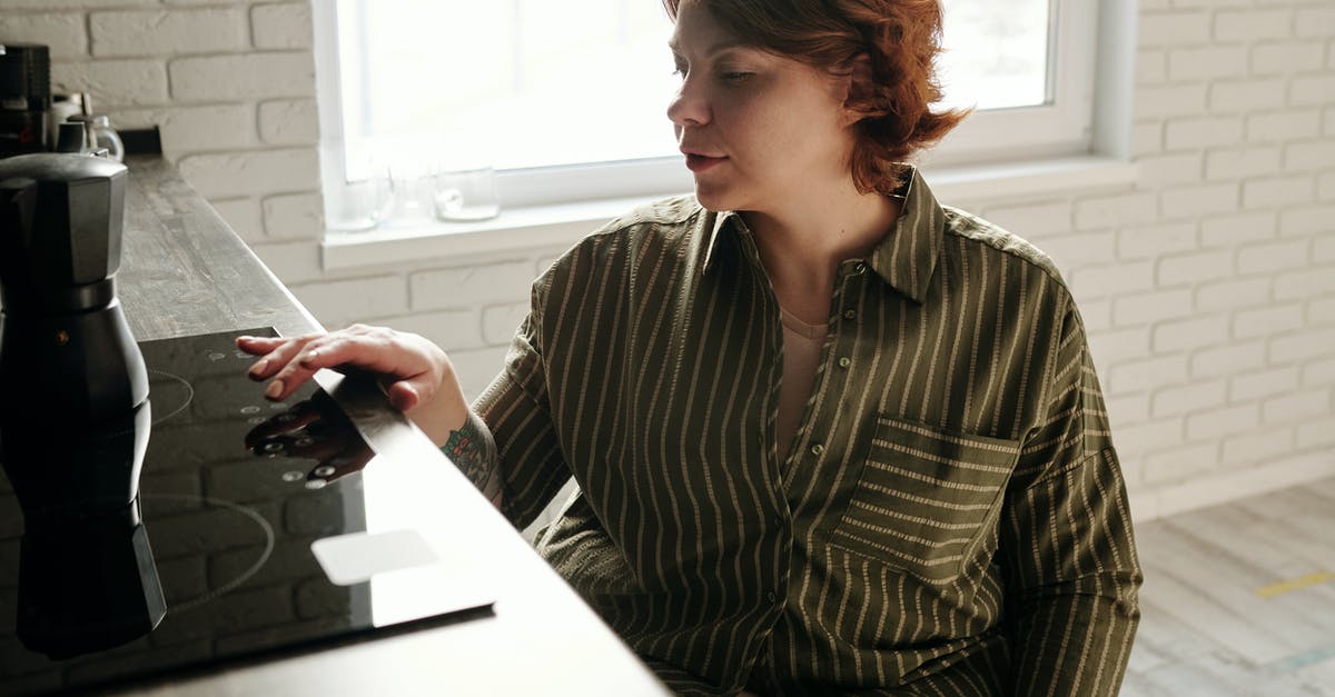 Should I use my toaster oven for slow roasting? - Photo of Woman Using Black Electric Stove