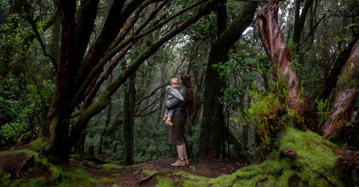 Should I worry about these green lentils? - Anonymous mother hugging son in deep forest