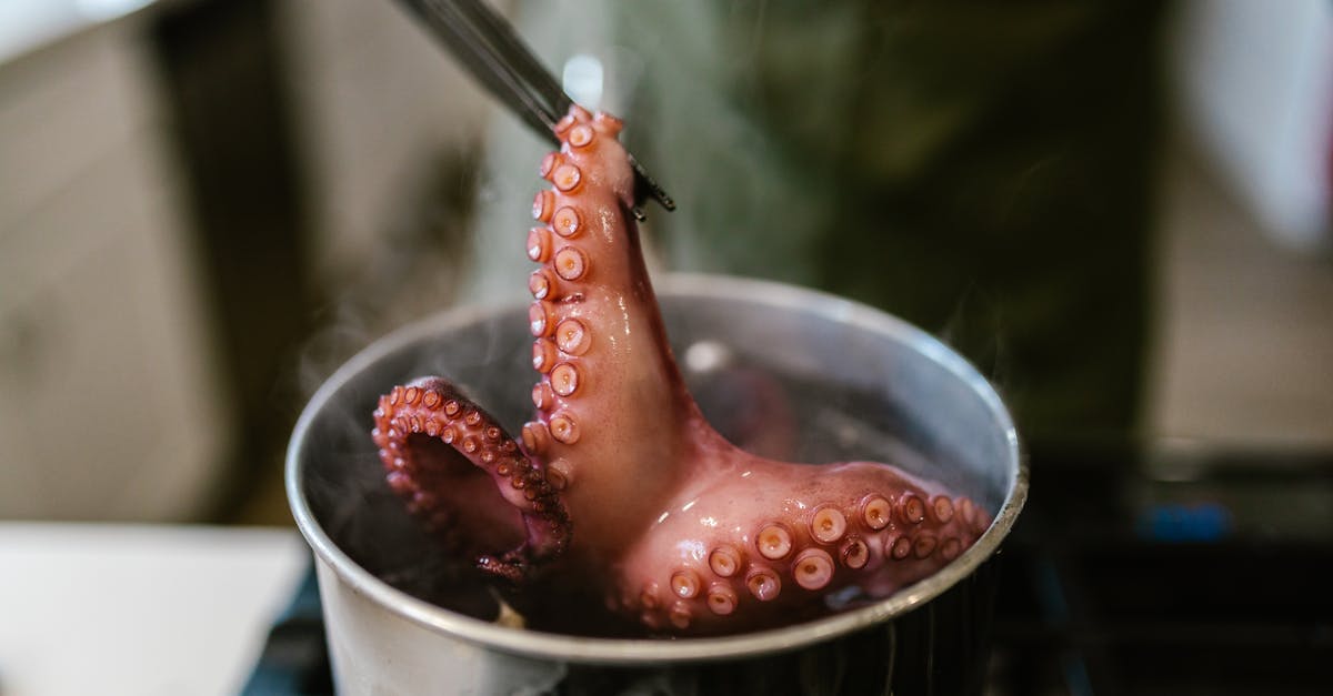 Should octopus be cooked twice? - Octopus in Pot on Stove