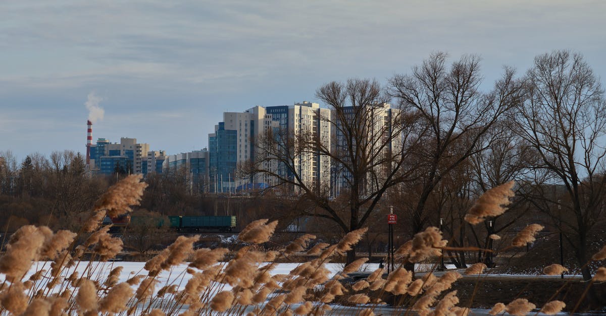 Should rice be started in cold or boiling water? - Bare Trees Near City Buildings