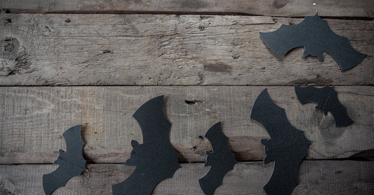 Size of holes for salt/pepper/seasoning shakers? - Black Paper Bats Decors on Wooden Table