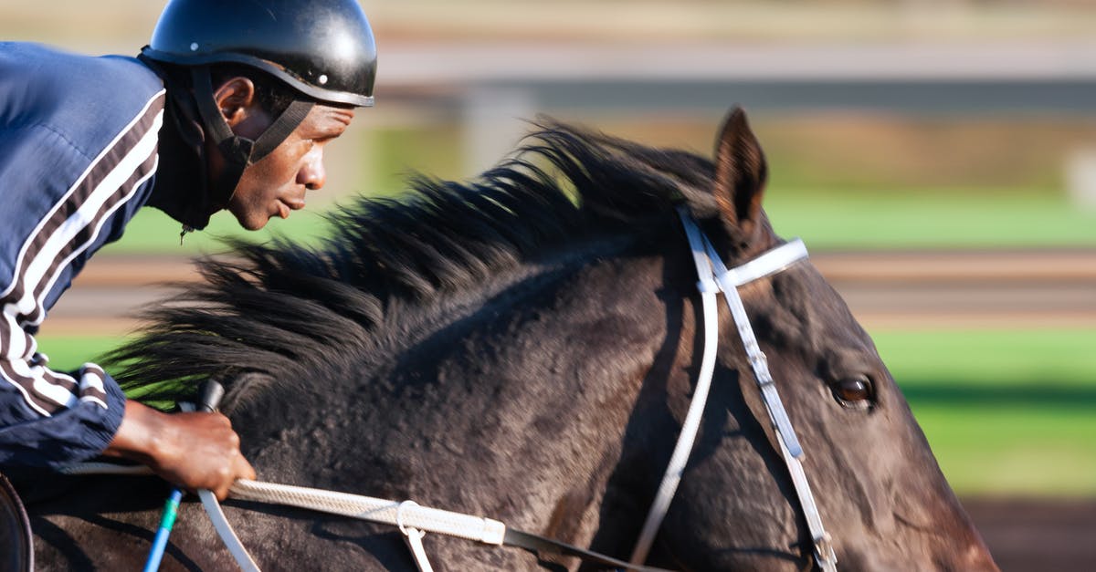 Smell Something Burning. Course of action? - Tilt Shift Focus Photography of Man Riding Horse