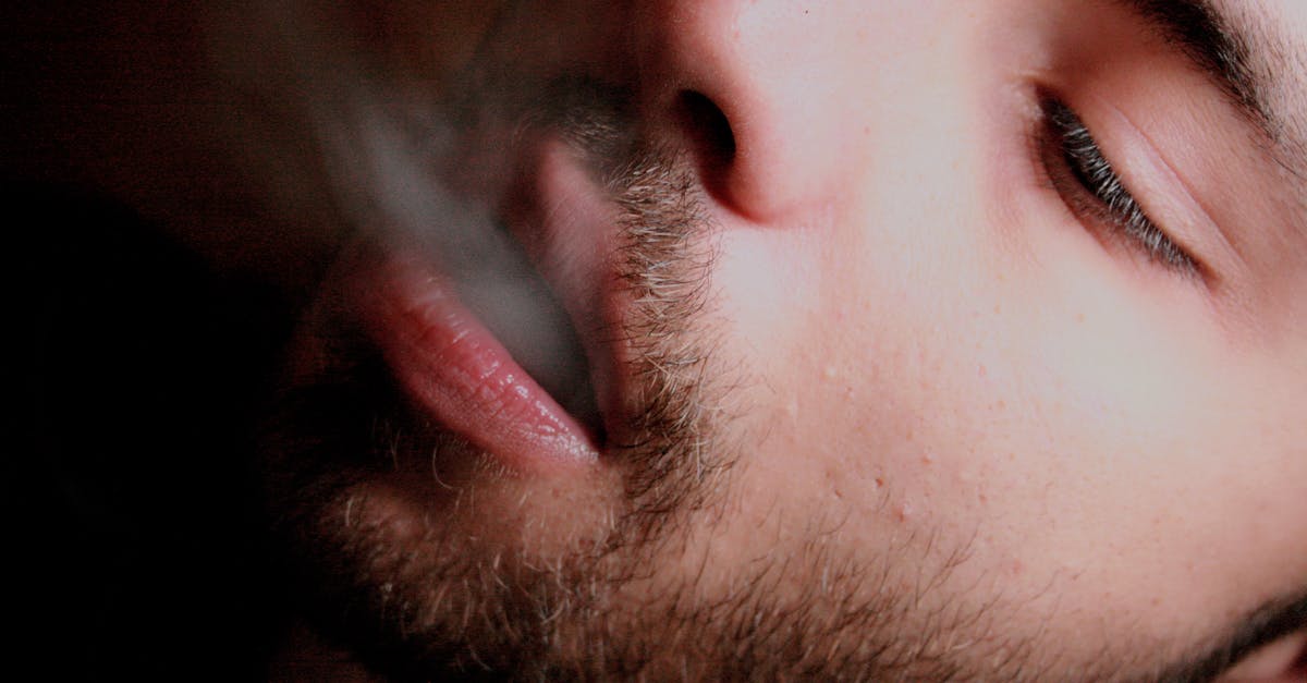 Smoking chicken breasts with and without skin - Closeup Photography of Man Blowing Smokes