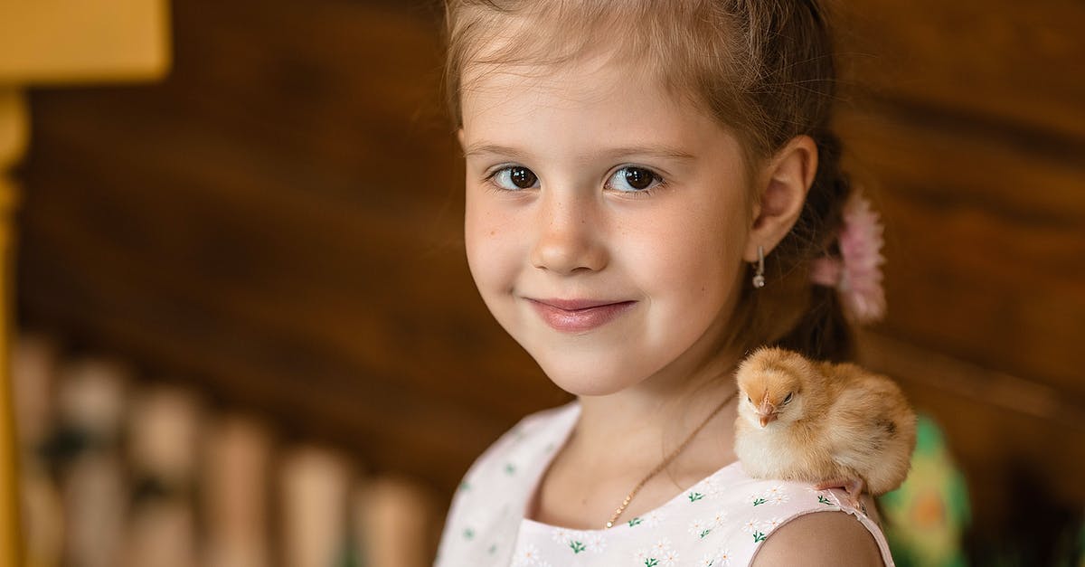 Smoking pork shoulder in a little chief - Cute girl with chick on shoulder