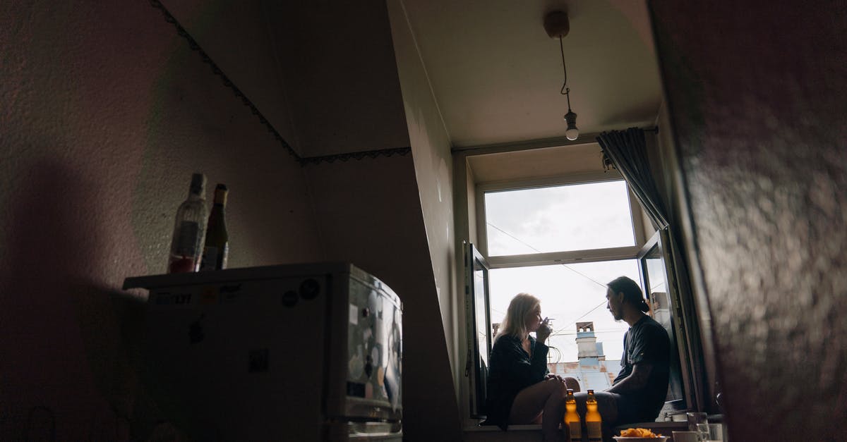 Smoking with chips after sous vide - Woman in Black Jacket Sitting Beside Window