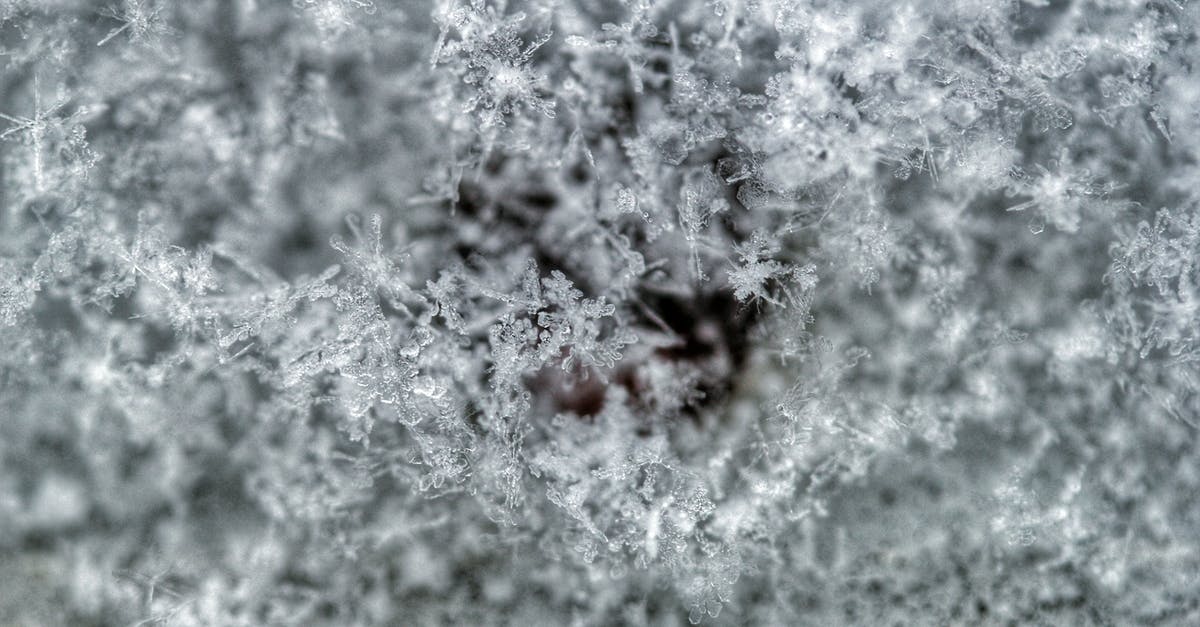 Sorbet contain ice crystals - Snow Covered Ground