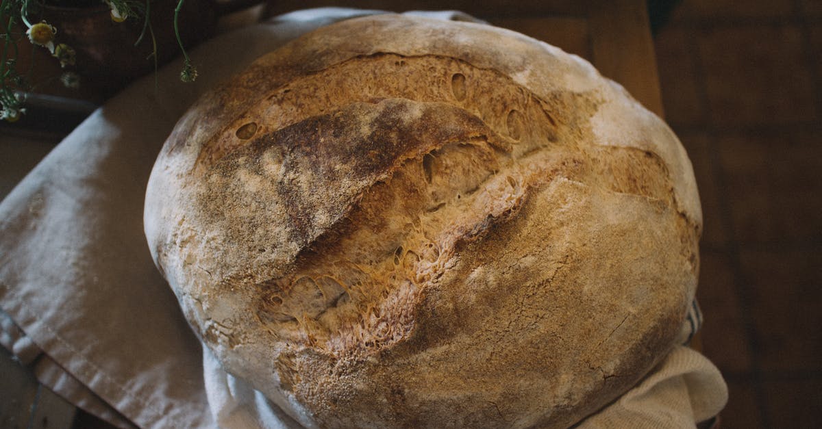 Sourdough hasn’t risen overnight - Brown Bread