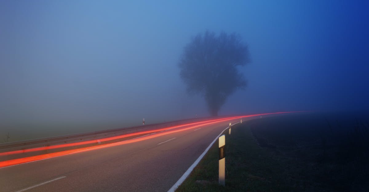 Sourdough Starter: Very fast rise (doubles in an hour) - Time-lapse Photography of Fog Filled Road Near Tree