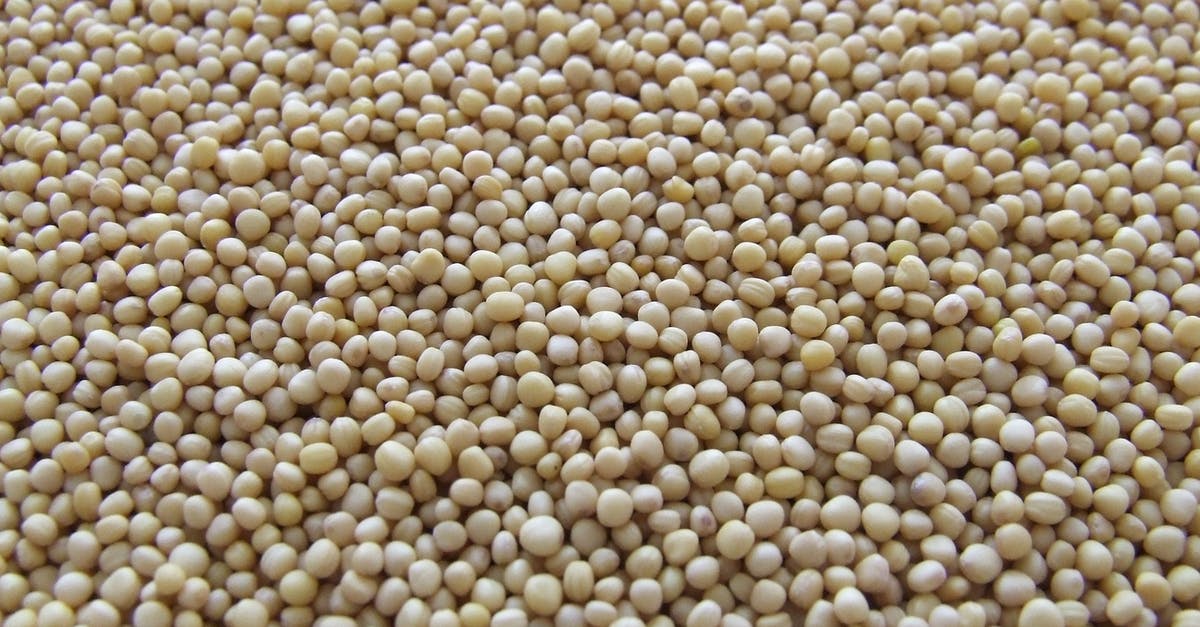 Soy bean cooking safety - White Beans