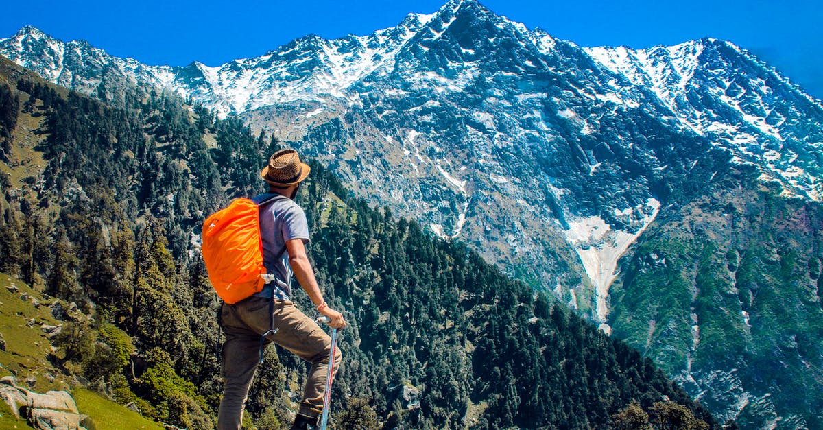 Soy chicken on a backpacking trip - Man Wearing Blue Shirt Standing on Cliff While Watching Mountain