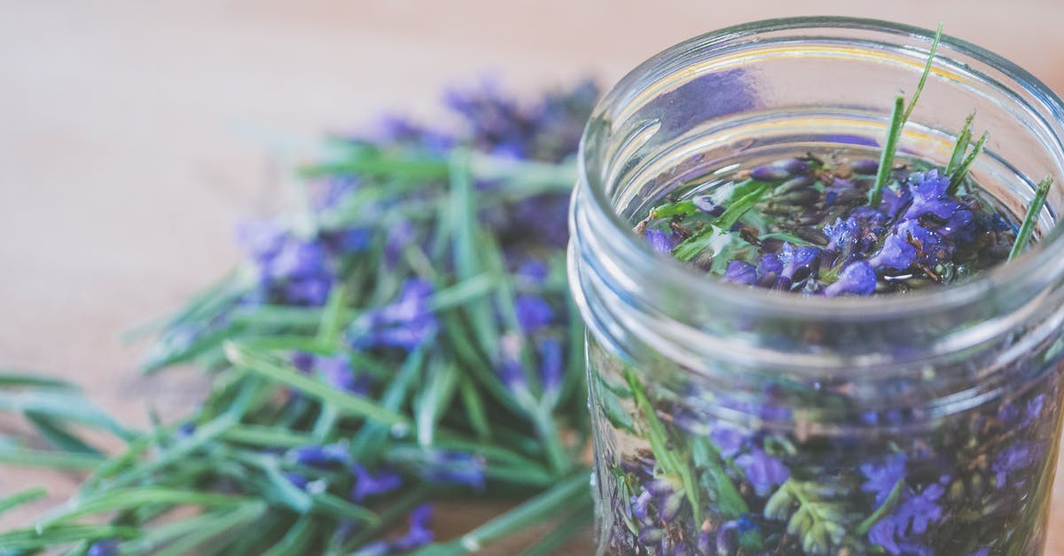Spice blend replacement? - Green and Purple Leaves in Clear Glass Jar