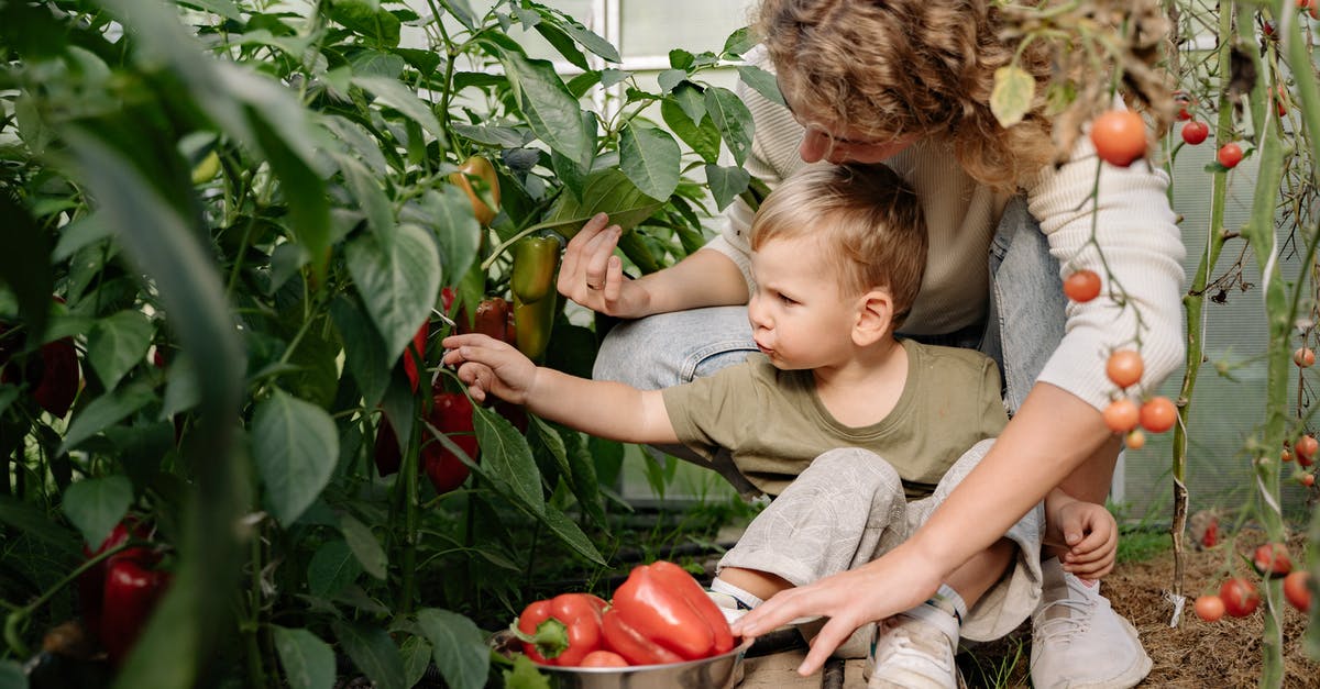 Sponge That Keeps Vegetables Fresh? - Girl in Gray T-shirt Sitting on Brown Wooden Chair