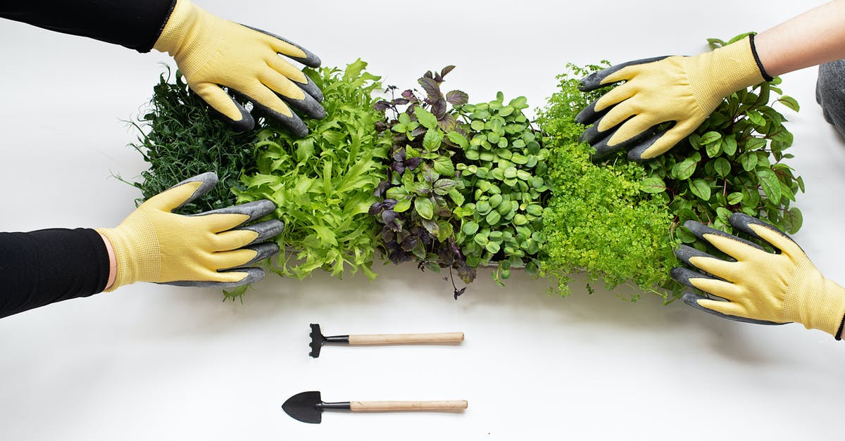 Sprouts and "better-to-cut-out-parts" in vegetables - Microgreens on White Table