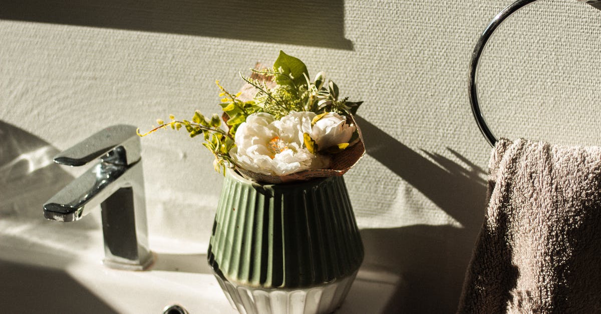 Stainless vs Enameled Porcelain Grates? - Bouquet of fresh flowers in vase on sink in bathroom