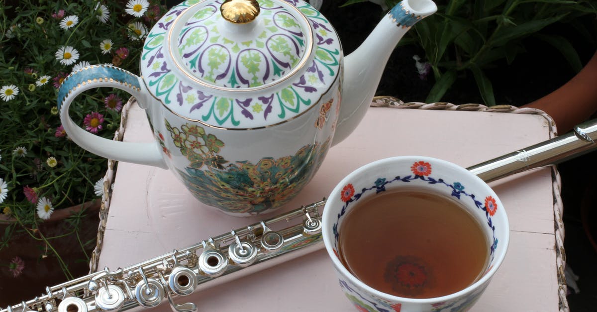 Stainless vs Enameled Porcelain Grates? - Flute Beside a Cup of Tea