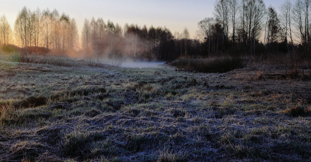 Steaming and steam temperature - Grassy terrain covered with hoarfrost located in countryside among trees in frosty morning