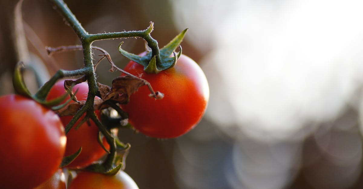 Stem on tomatoes - Close-Up Photo of Red Tomatoes