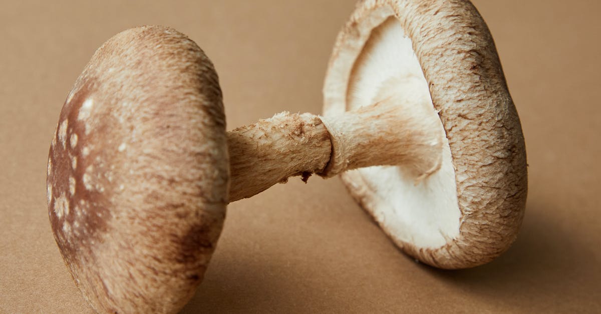 Storage options for Oyster mushrooms - High angle of brown beech mushrooms native to Asian countries placed on beige background