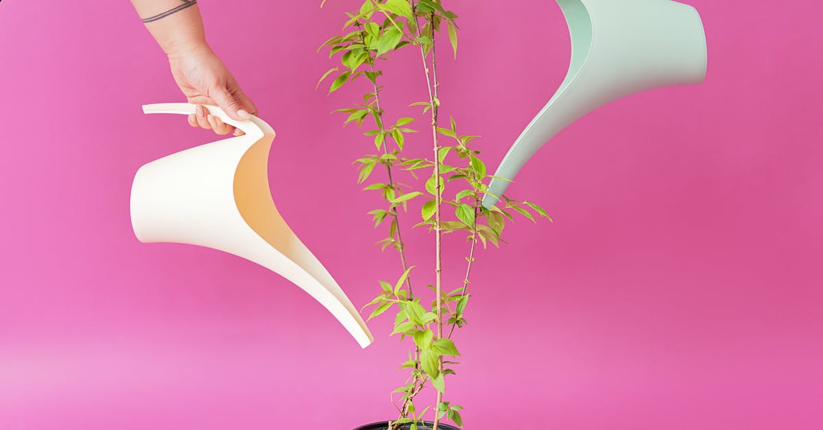 Storing potato water: how long can it be refrigerated? - People Holding Long Spout Plastic Watering Cans