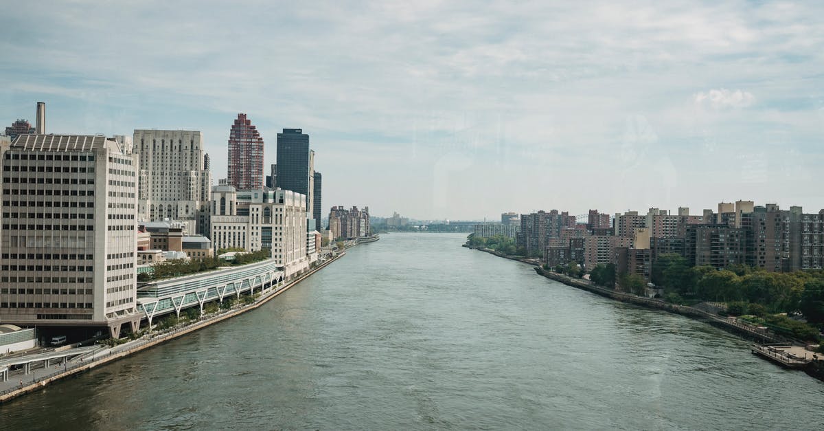 Strawberries in New York City - Metropolis city district with spacious river