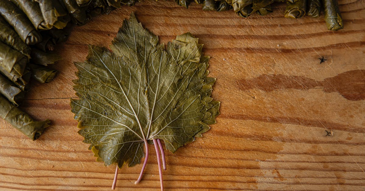 Subsitute in this kale and grape recipe - Pile of sarma near vine leaf on table