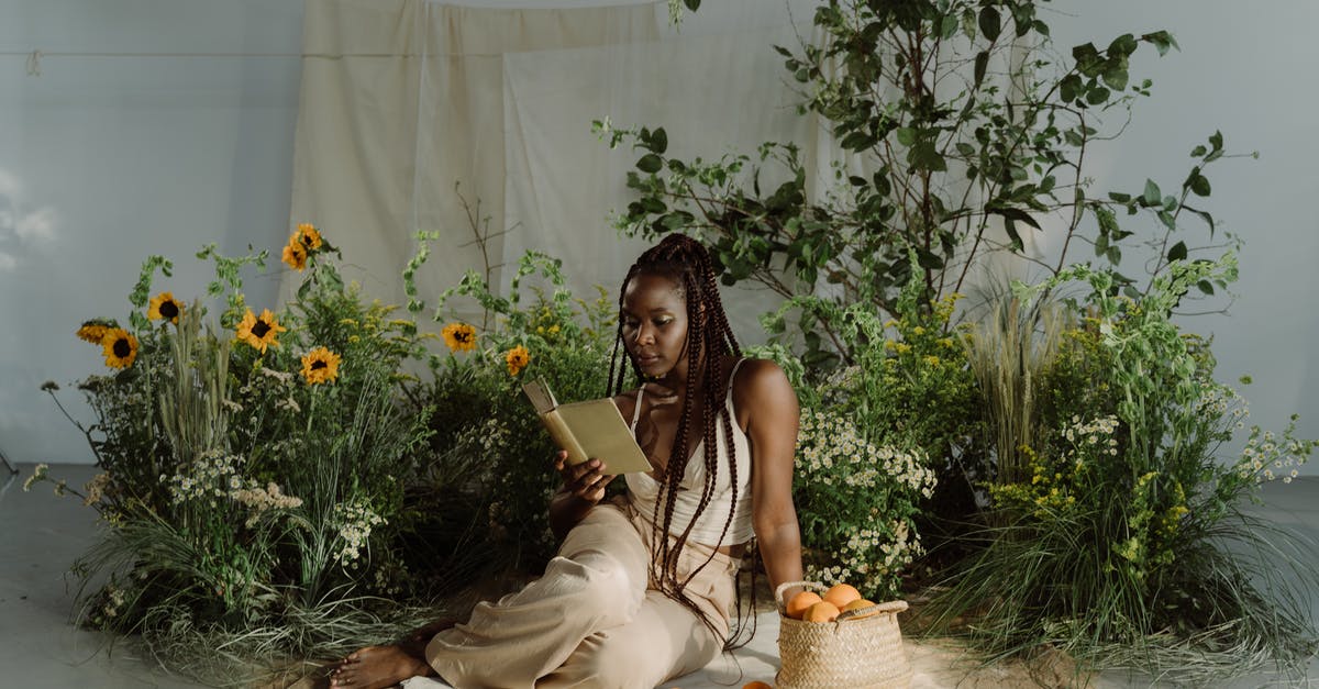 Substitute for ground picnic ham. - A Woman Reading a Book While Sitting on the Ground