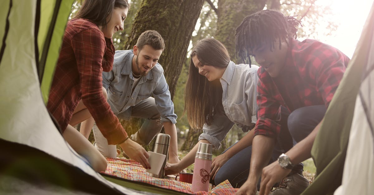 Substitute for ground picnic ham. - From below of group of diverse people in casual clothes sitting on ground and having picnic in camping