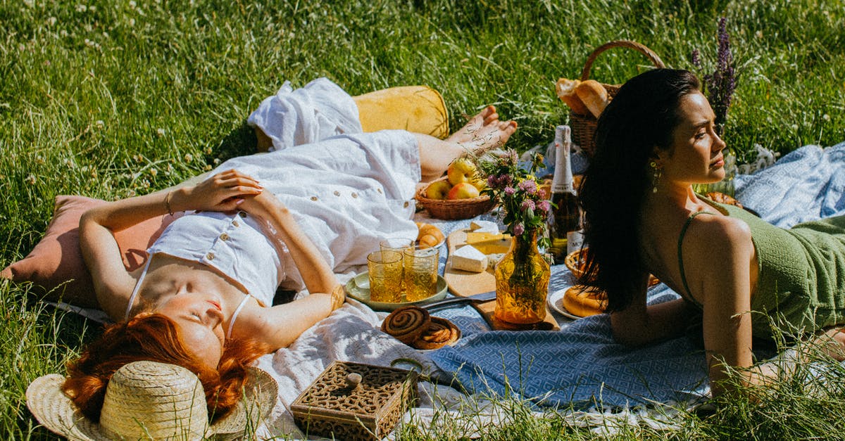 Substitute for ground picnic ham. - Women Lying Down Leisurely on the Picnic Blanket